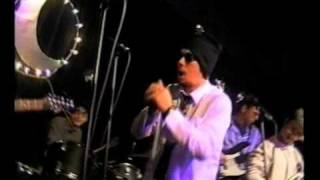 "The EVERGREENS" - "Cash Money"