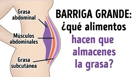 ¿Qué alimentos adelgazan el estómago?