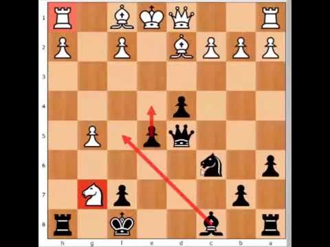 2 Complete Opening Repertoire for Black - YouTube