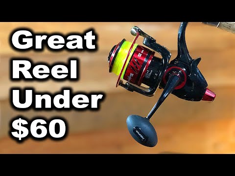 What is a Baitfeeder Spinning Reel - Affordable Big Fish Reels