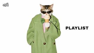 The Cat Is the Main Character | Soft R&B Chill Pop for Late Nights screenshot 3