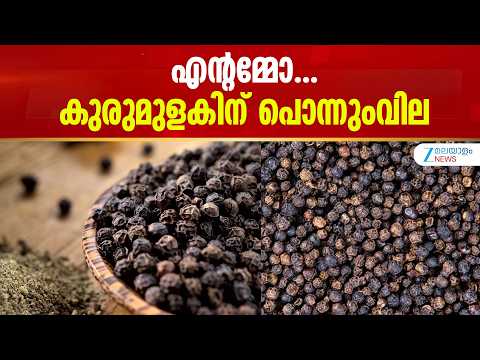 Black Pepper Price Kerala | കുരുമുളകിന്റെ വില പത്തുവര്‍ഷത്തെ ഏറ്റവും ഉയര്‍ന്ന നിലവാരത്തില്‍
