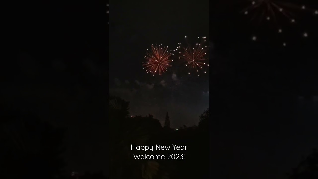 happy new year welcome 2023! 
