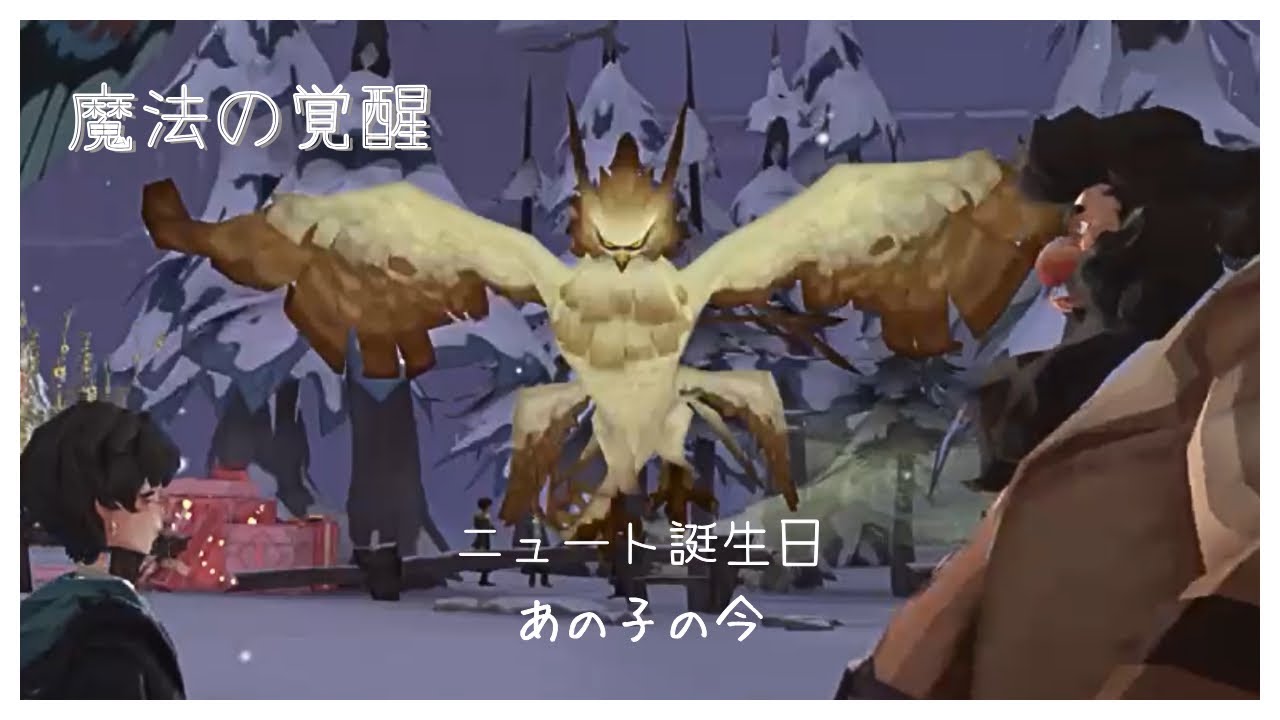 【魔法の覚醒】ニュート誕生日【夜のんびり配信】