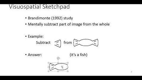 PSYCH360 Cognitive Processes, Online Module 4, 7 Visuospatial Sketchpad and Central Executive