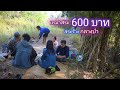 เหมาสระ 600 บาท สระเลี้ยงปลาเก่า 6 ปี พื้นที่ร้างกลางป่ารก / บ้านนอก EP.282