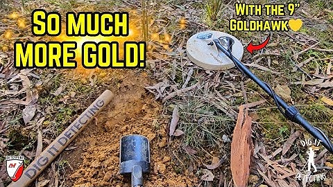 The 9" Goldhawk Coil Changes Everthing!