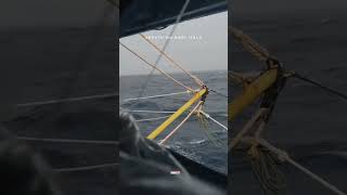 parfumu dari paris💃 #reels #shorts #storywa #youtubeshorts #shortvideo #pursein #nelayanpantura #fyp