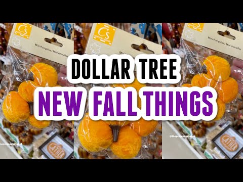 Video: Verkoopt Dollar Tree frames?