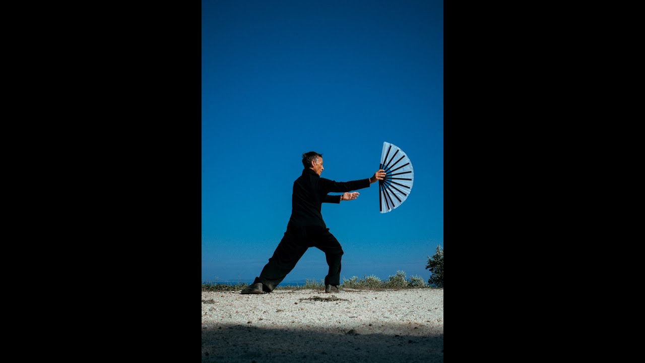 Carte d'Identité Chorégraphique Régine Zanini