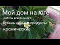 Мой дом на юге/Цены на продукты космические/Переезд в Краснодар