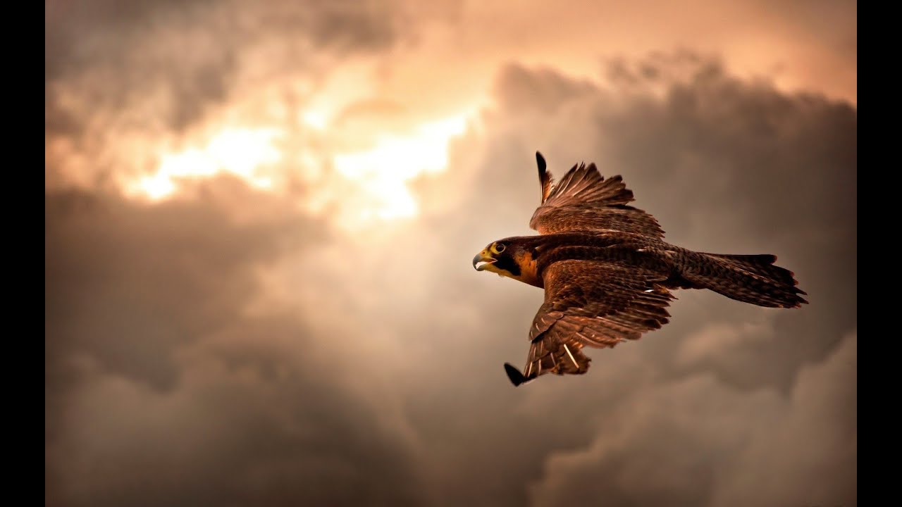 The Selection of Classical Music 67 "Second season"