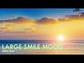 🎵Nico Staf - Large Smile Mood