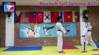 TaeKwonDo Bluebelt Self Defense 11 - 15 screenshot 5