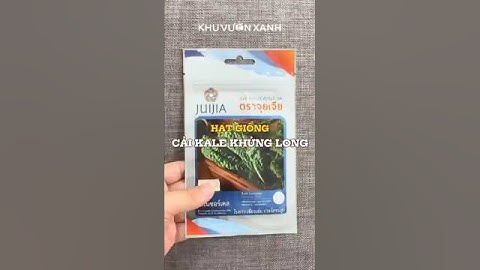 Hạt giống Cải Kale khủng long - Cải xoăn Kale #hatgiong #caikale #hatgiongrau