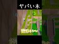 ヤバい木のコイン #treeshateyou #shorts