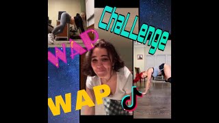 Sexiest WAP Dance Challenge | Wap Dance Challenge Tiktok Compilation