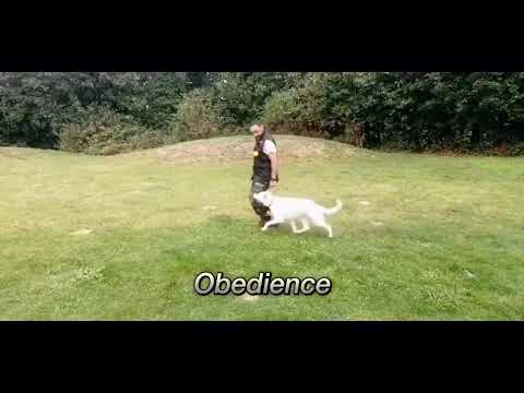 SK9 Training World video proof thumbnail