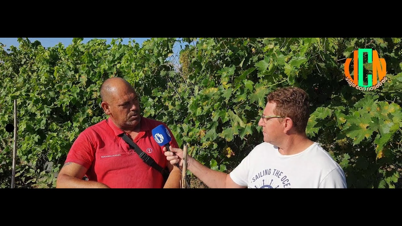Huertos Sociales en Burguillos (Sevilla)