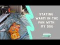 How My Dog and I Stay Warm in Our Van | Van Life | Minivan Camper Conversion