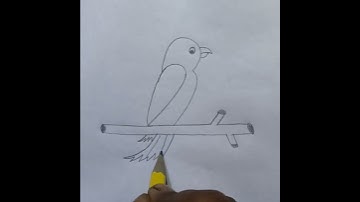 how to draw a parrot from number 2//parrot drawing easy//parrot drawing for kids//