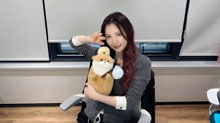 もう23歳か〜