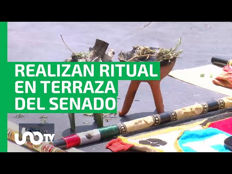 Realizan ritual y sacrifican gallina en el Senado