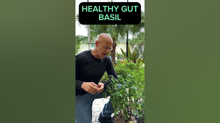 BASIL…The Miracle Digestive Herb!  Dr. Mandell