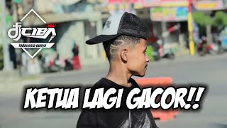 🔥PARTY SENTAK🌴KETUA LAGI GACOR!!🌴DJ CIBA_2025