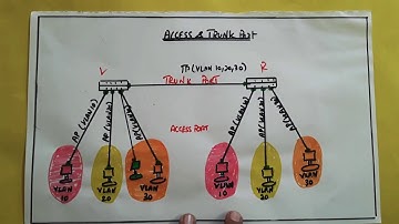 Trunk port & Access port | Tamil | Session 8 |