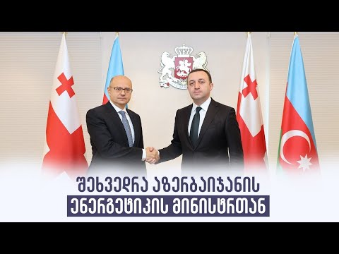შეხვედრა აზერბაიჯანის ენერგეტიკის მინისტრთან