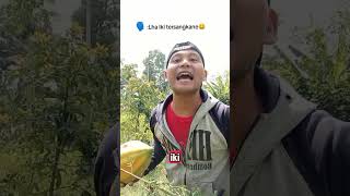 #ngaritrumput #maling #lucu #konten #vidio #viral
