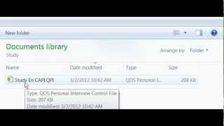 QDS CAPI #2: Interrupting and Resuming a CAPI Interview