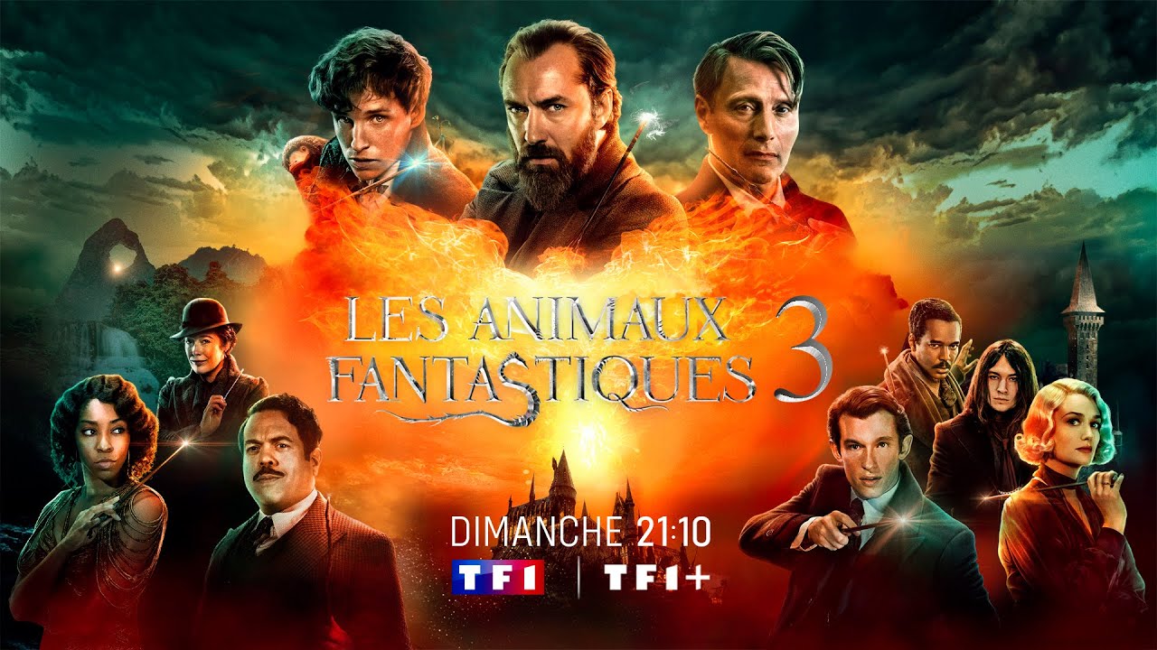 Les Animaux Fantastiques 3 (TF1 PACKSHOT) - YouTube