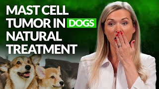 Mast cell tumor in dogs natural treatment | Doing it correctly