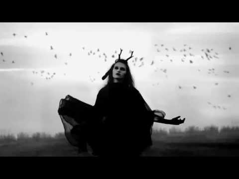 sidewalks-and-skeletons-x-alex-zelenka---disarray