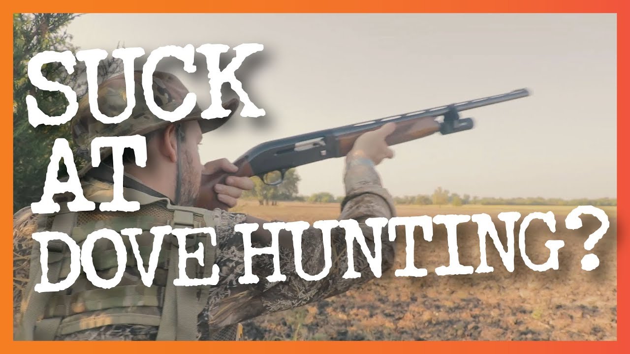 8 Common Dove Hunting Mistakes & How to Fix Them - YouTube