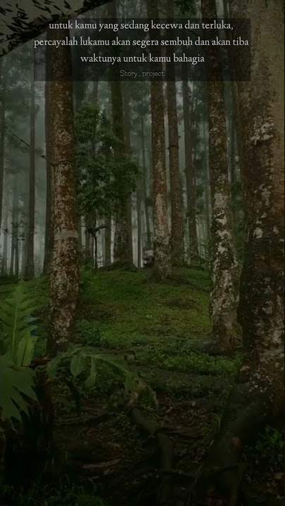 STORY WA LAGU INDIA || PERCAYALAH KAMU AKAN BAHAGIA