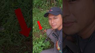 HEWAN PENUNGGU LUBANG MISTERIUS‼️