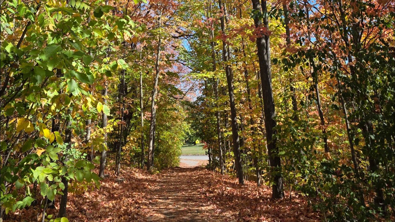 Plant Addicts Tips is live! Let's enjoy the fall colors together! 🤩
