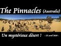 "The Pinnacles" un mystérieux désert... Incontournable du road-trip australien !