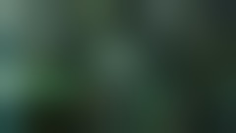 Wouxun KG-UV9D+ (satcom enhanced RX ver.)