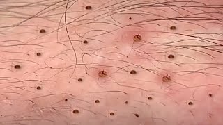 Satisfying and Relaxing with Pi Spa Video #018