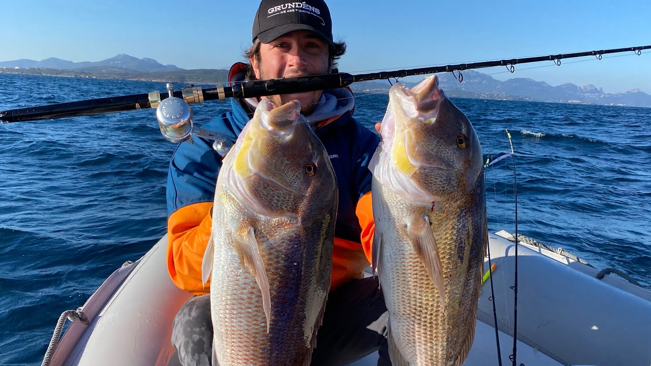 Traina col vivo: I DENTICI DELLA SARDEGNA