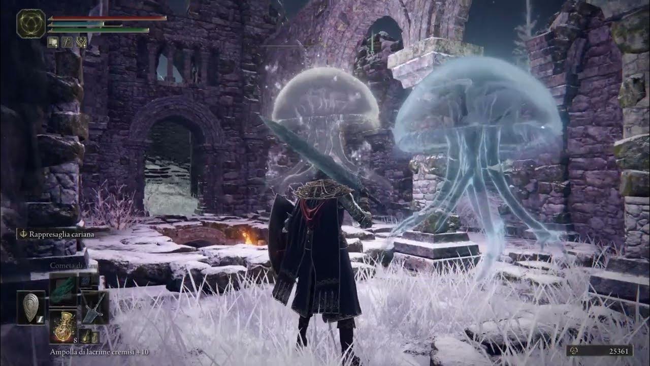 ELDEN RING Jellyfish Sisters at the Stargazers' Ruins (Primal