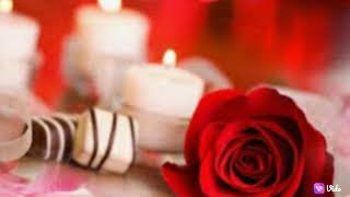 Love status