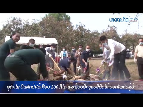 ผลสลากกินแบ่งรัฐบาล วันที่ 1 พย. 2567 ผลสลากกินแบ่งรัฐบาล วันที่ 1 พย. 2567