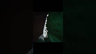 Scariest video on the Internet#AnimalCompany #VR #Viral #FYP ￼