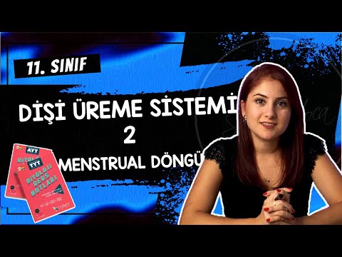 30) MENSTRÜAL DÖNGÜ - DİŞİ ÜREME SİSTEMİ 2 | 11. SINIF | AYT BİYOLOJİ DERS NOTLARI 2024