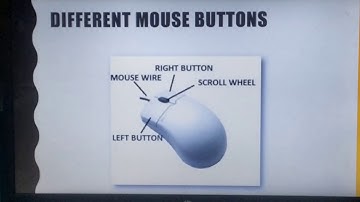 Class 1 - Chapter 6 Know About Mouse